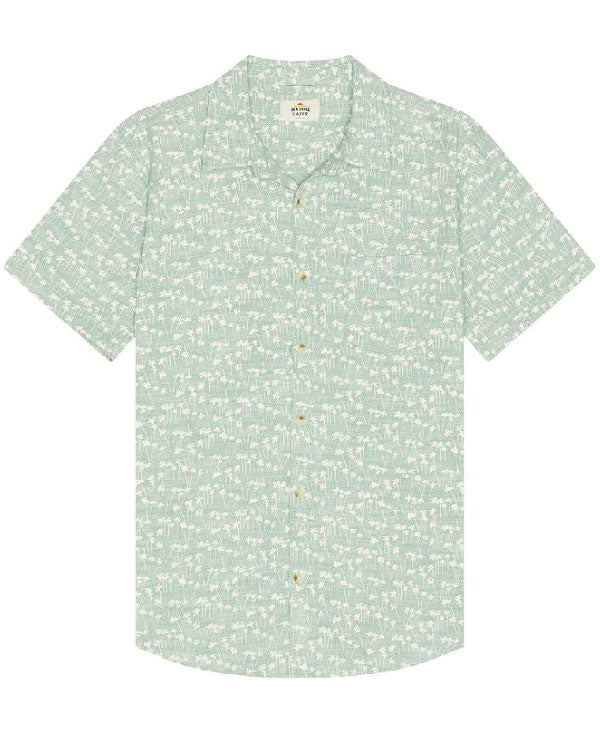 Access Daily 2025 Bertie Gregory Palm Tree Print Shirt