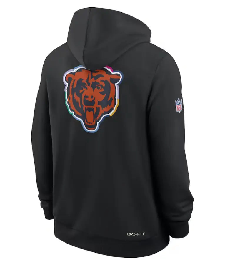 Chicago Bears 2025 Crucial Catch Hoodie
