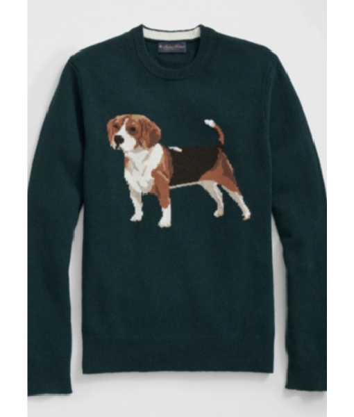 Drew Barrymore Show 2025 Ross Mathews Dog Sweater
