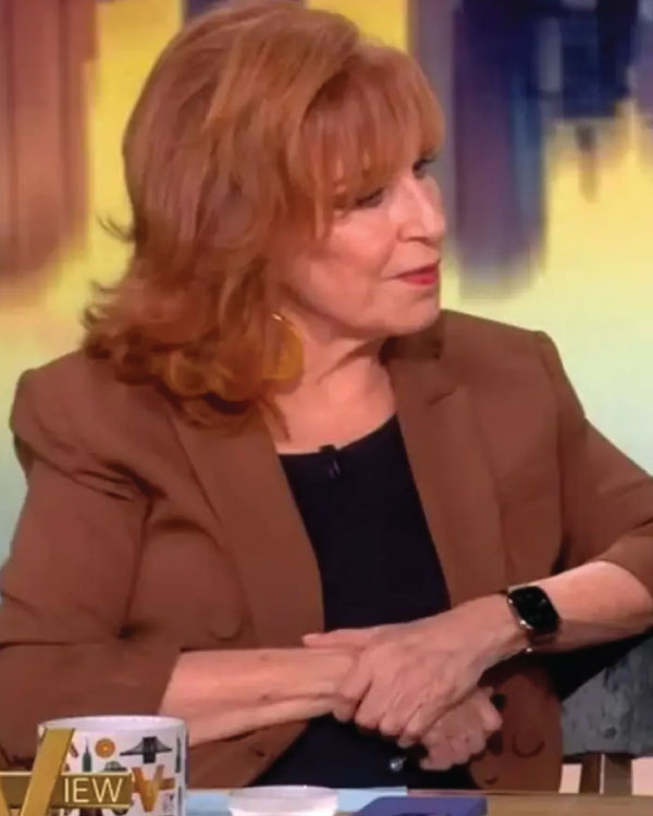 The View Joy Behar Brown Blazer