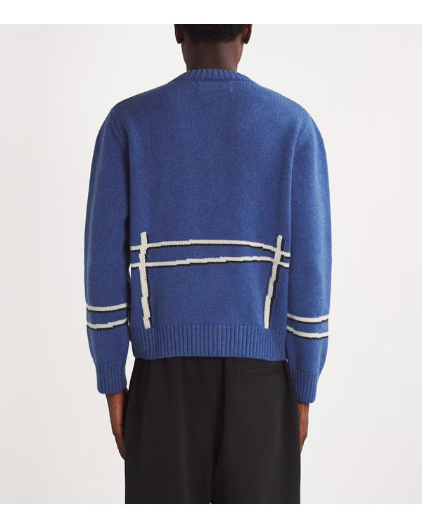 Drew Barrymore Show 2025 Will Taylor Blue Sheep Cardigan
